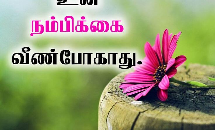 jesu Kristhavana Disturb Pannatha Jesus Song Lyrics 1